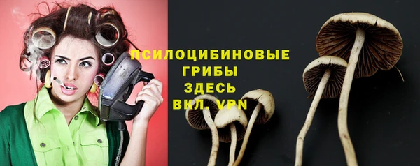ALPHA PVP Волосово
