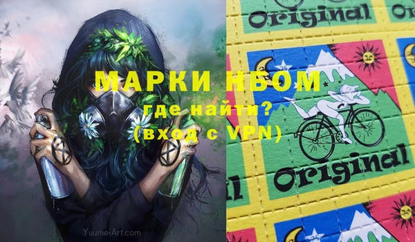 шишки Белокуриха