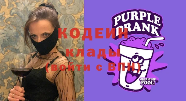 шишки Белокуриха