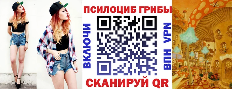 Купить  Мышкин  Галлюциногенные грибы MAGIC MUSHROOMS 